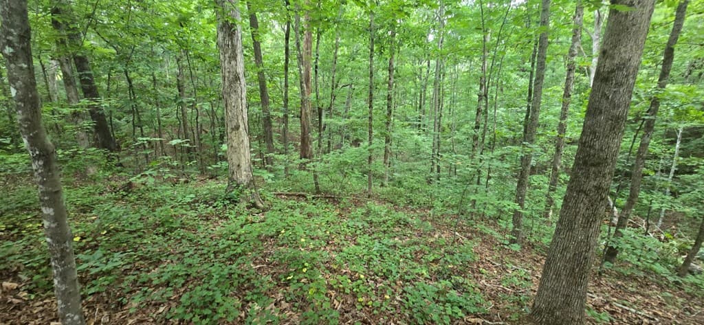 LOT 9 Harris Creek Drive, Ellijay GA 30540 - Photo