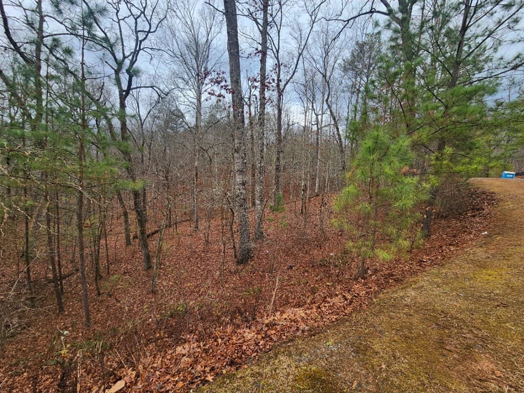 LOT 9 Harris Creek Drive, Ellijay GA 30540 - Photo