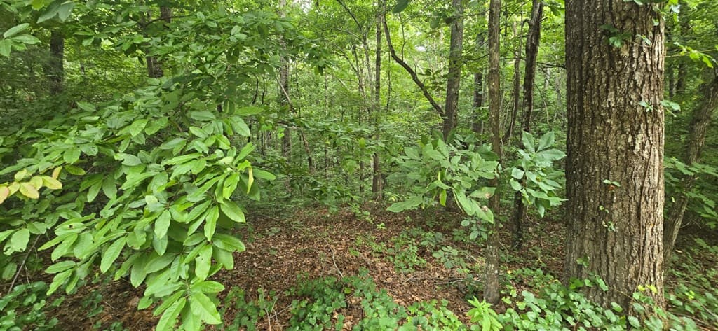 LOT 9 Harris Creek Drive, Ellijay GA 30540 - Photo