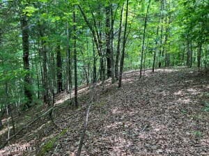 Lot 11 Green Cove Circle, Murphy NC 28906 - Photo