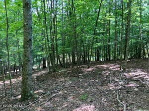 Lot 11 Green Cove Circle, Murphy NC 28906 - Photo