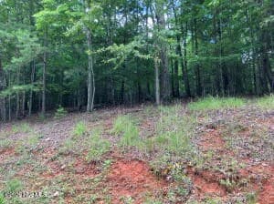Lot 11 Green Cove Circle, Murphy NC 28906 - Photo