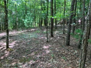 Lot 11 Green Cove Circle, Murphy NC 28906 - Photo
