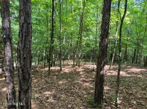 Lot 11 Green Cove Circle, Murphy NC 28906 - Primary photo
