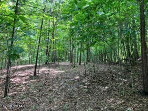Lot 11 Green Cove Circle, Murphy NC 28906 - Photo