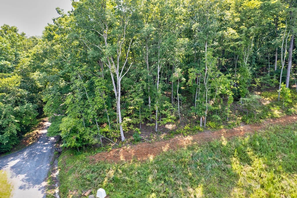 0 Shady Lane, Mineral Bluff GA 30559 - Photo