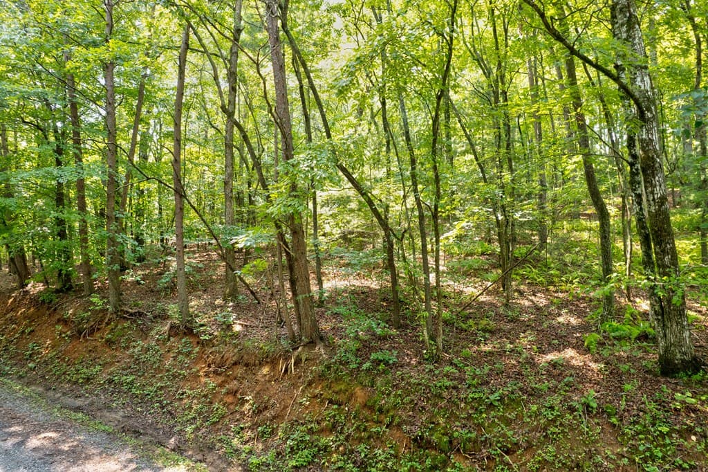 0 Shady Lane, Mineral Bluff GA 30559 - Photo