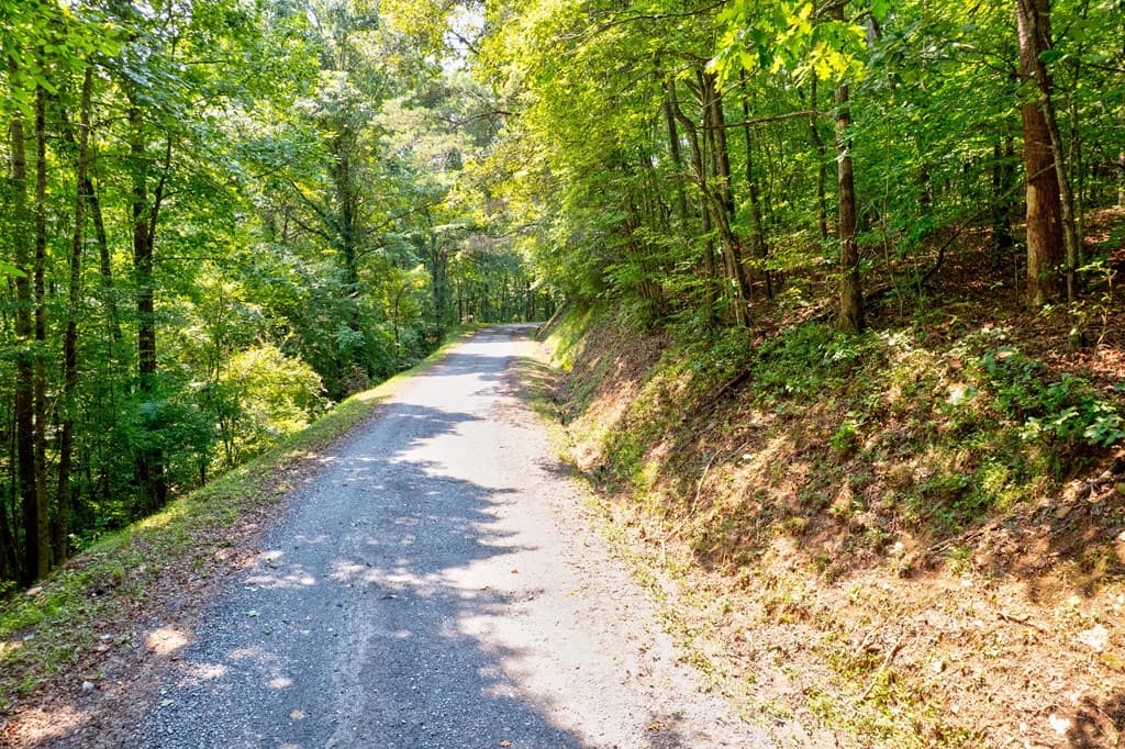 0 Shady Lane, Mineral Bluff GA 30559 - Photo