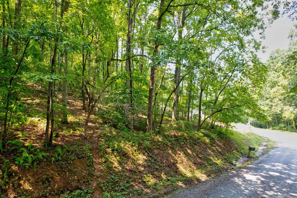0 Shady Lane, Mineral Bluff GA 30559 - Photo