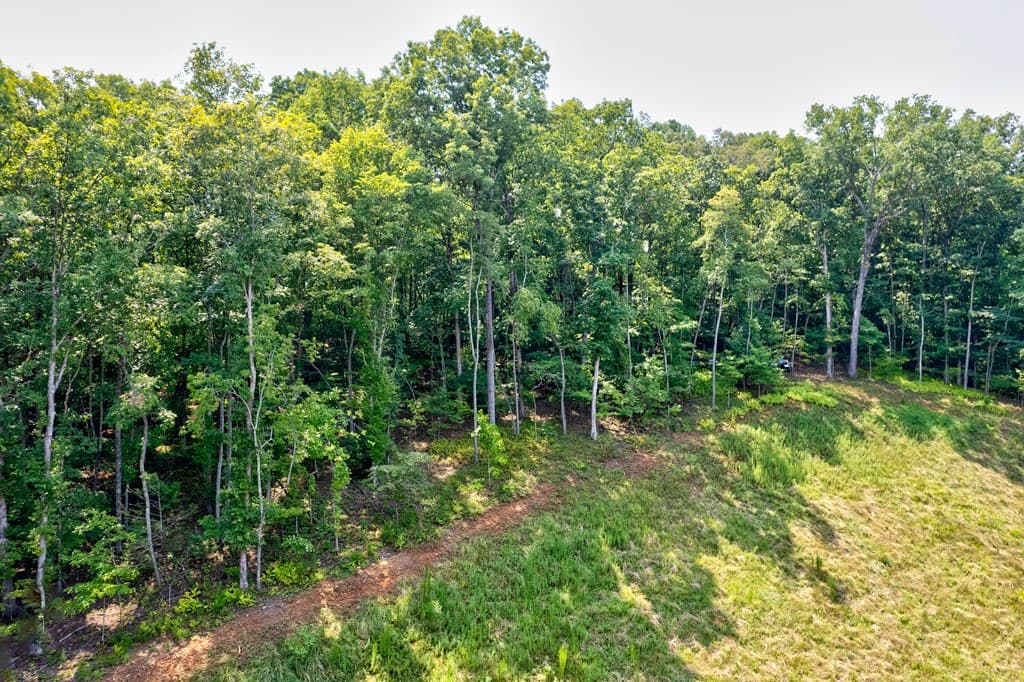 0 Shady Lane, Mineral Bluff GA 30559 - Photo