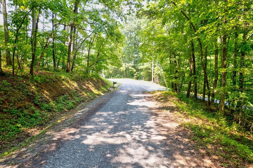 0 Shady Lane, Mineral Bluff GA 30559 - Primary photo