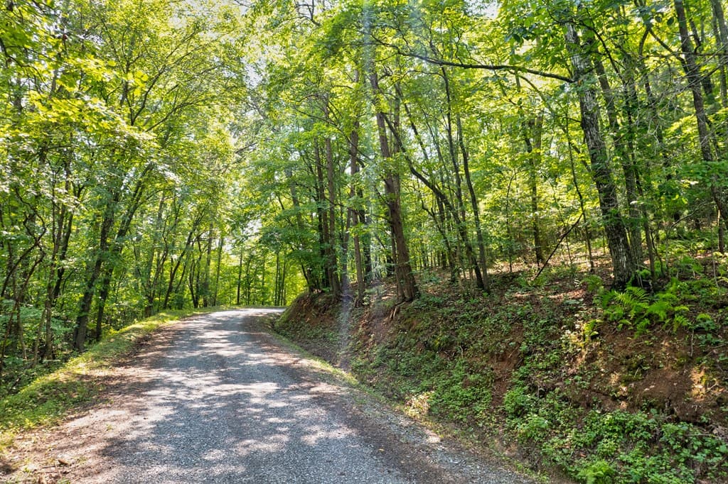 0 Shady Lane, Mineral Bluff GA 30559 - Photo
