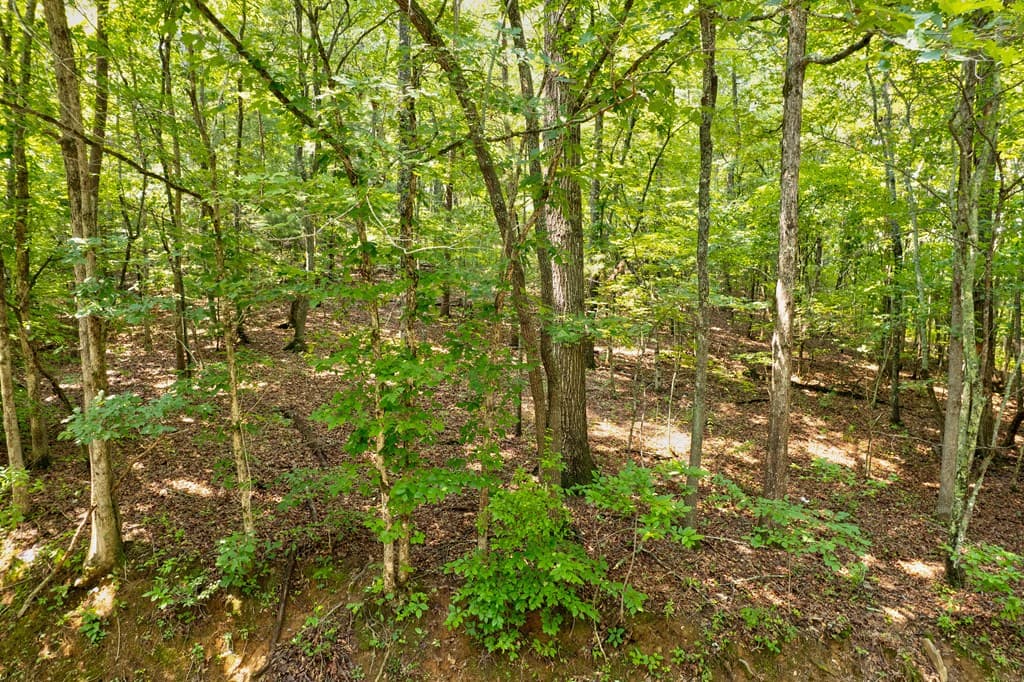 0 Shady Lane, Mineral Bluff GA 30559 - Photo