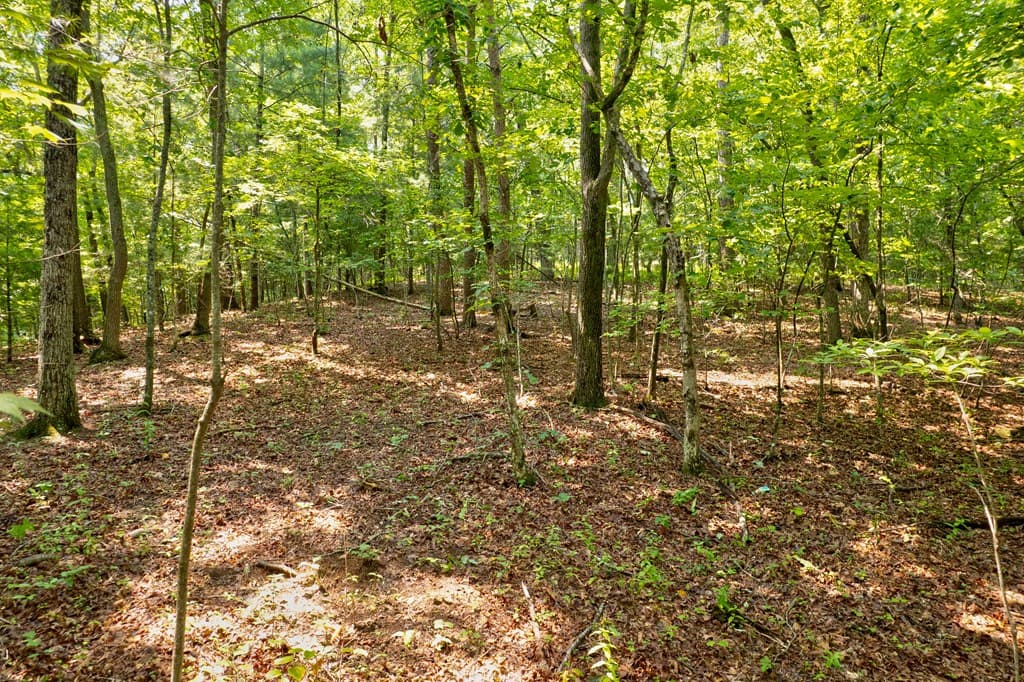 0 Shady Lane, Mineral Bluff GA 30559 - Photo