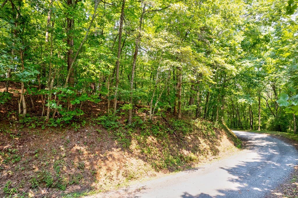 0 Shady Lane, Mineral Bluff GA 30559 - Photo