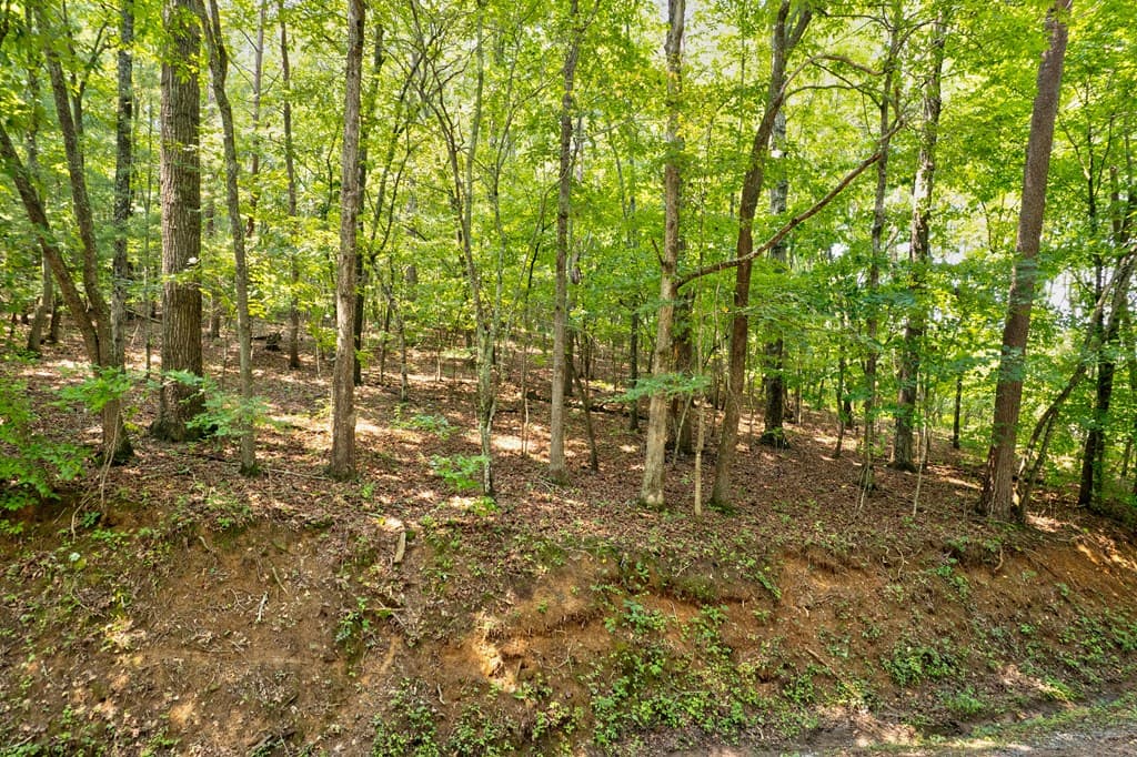 0 Shady Lane, Mineral Bluff GA 30559 - Photo