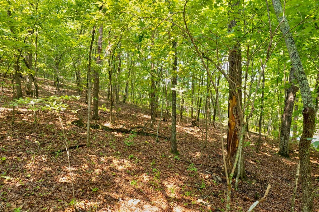 0 Shady Lane, Mineral Bluff GA 30559 - Photo