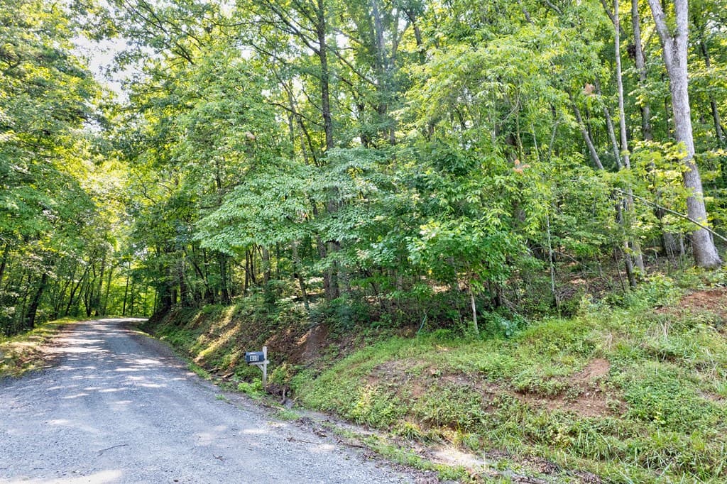 0 Shady Lane, Mineral Bluff GA 30559 - Photo