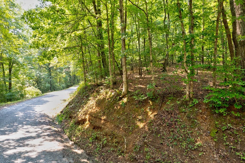 0 Shady Lane, Mineral Bluff GA 30559 - Photo