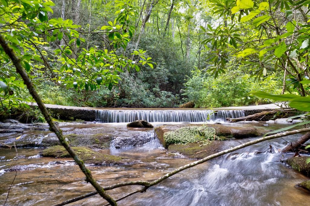 0 Wolf Pen Trail, Ellijay GA 30540 - Photo