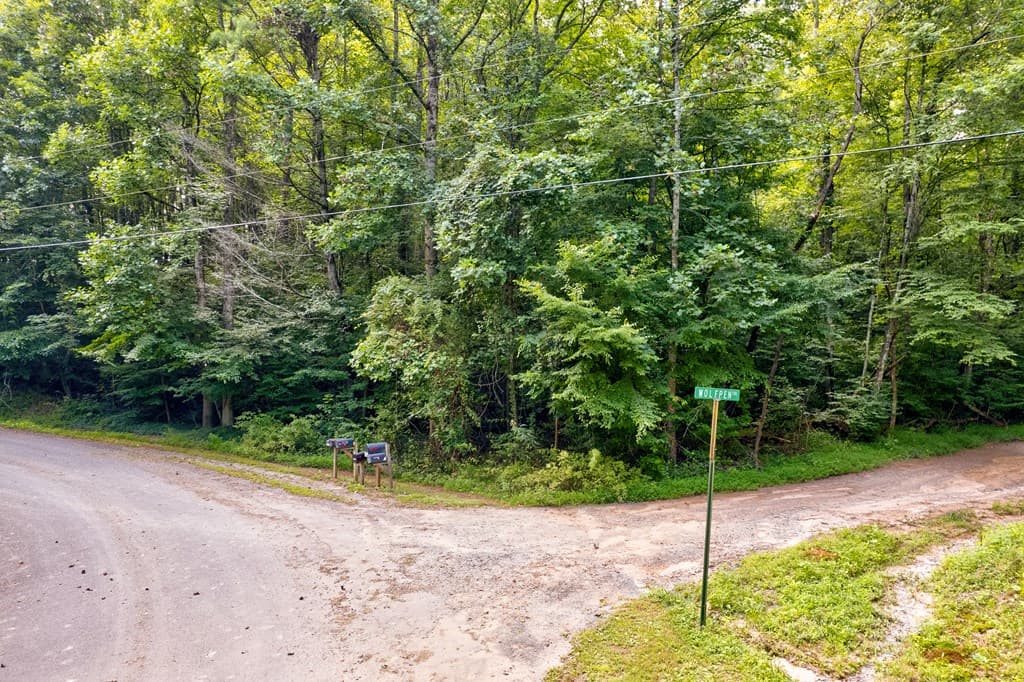 0 Wolf Pen Trail, Ellijay GA 30540 - Photo
