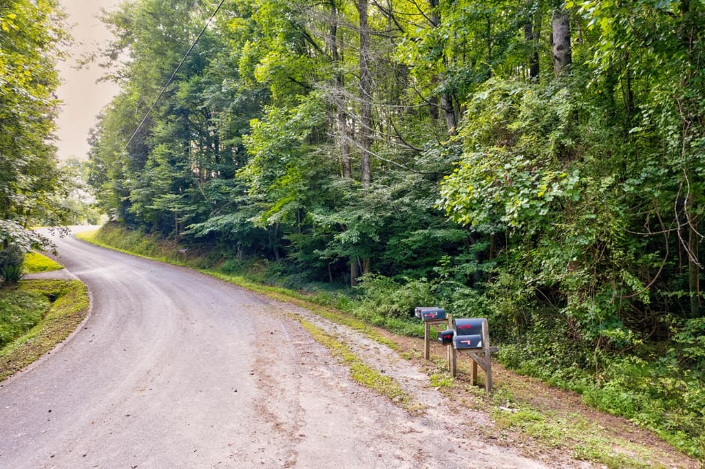 0 Wolf Pen Trail, Ellijay GA 30540 - Photo