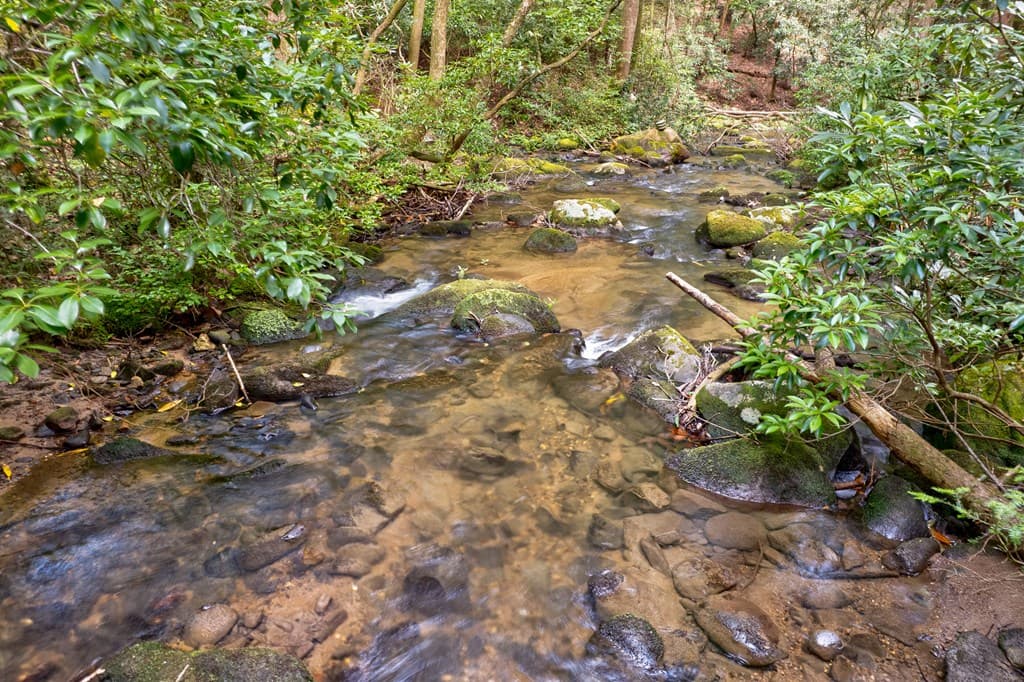 0 Wolf Pen Trail, Ellijay GA 30540 - Photo