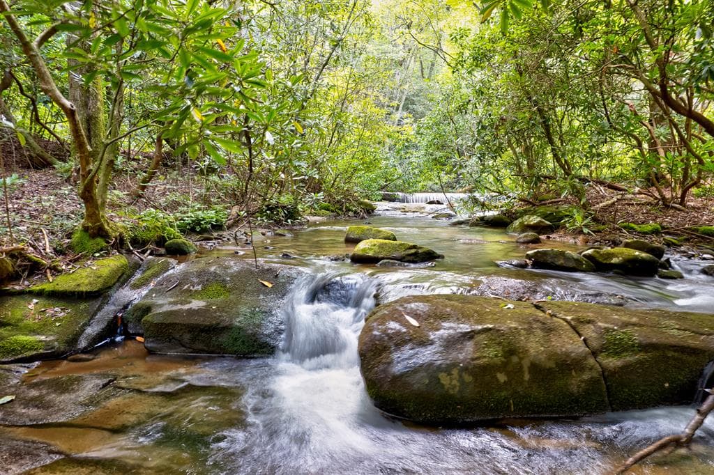 0 Wolf Pen Trail, Ellijay GA 30540 - Primary photo