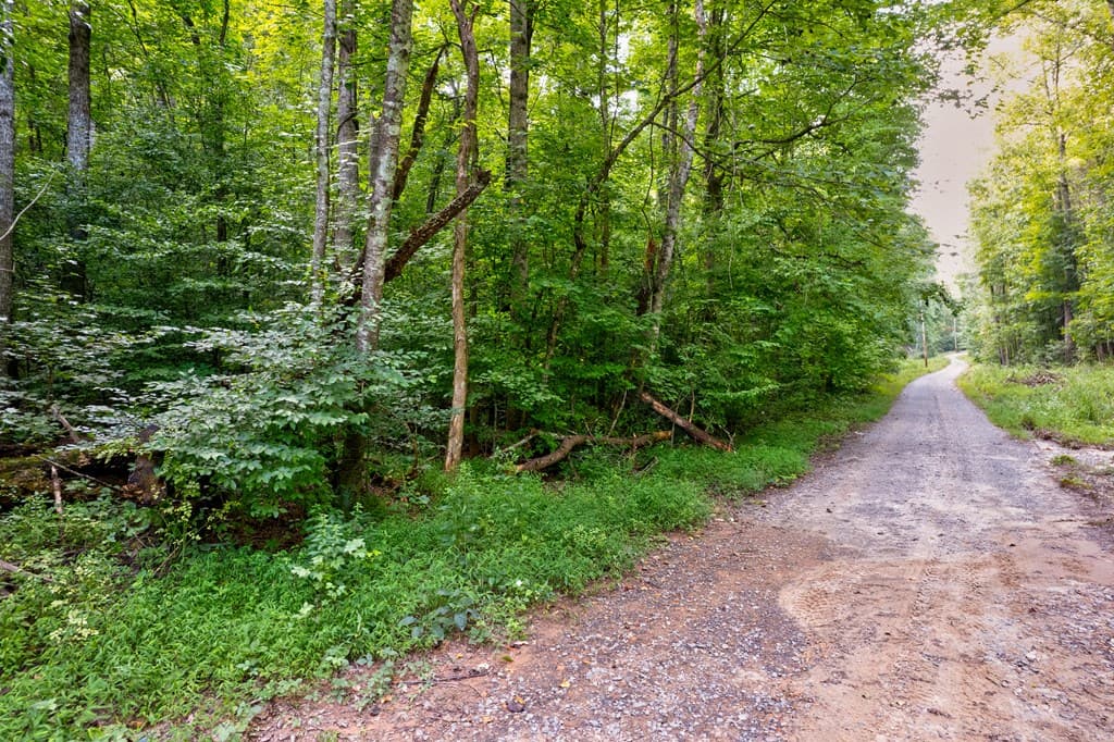 0 Wolf Pen Trail, Ellijay GA 30540 - Photo