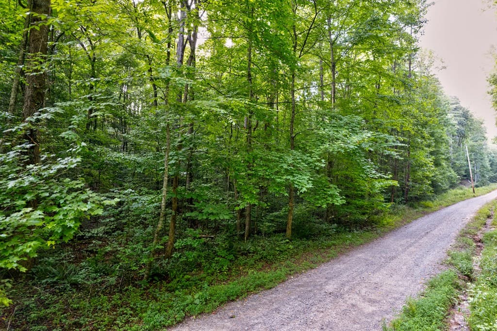 0 Wolf Pen Trail, Ellijay GA 30540 - Photo