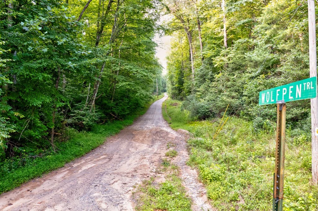 0 Wolf Pen Trail, Ellijay GA 30540 - Photo