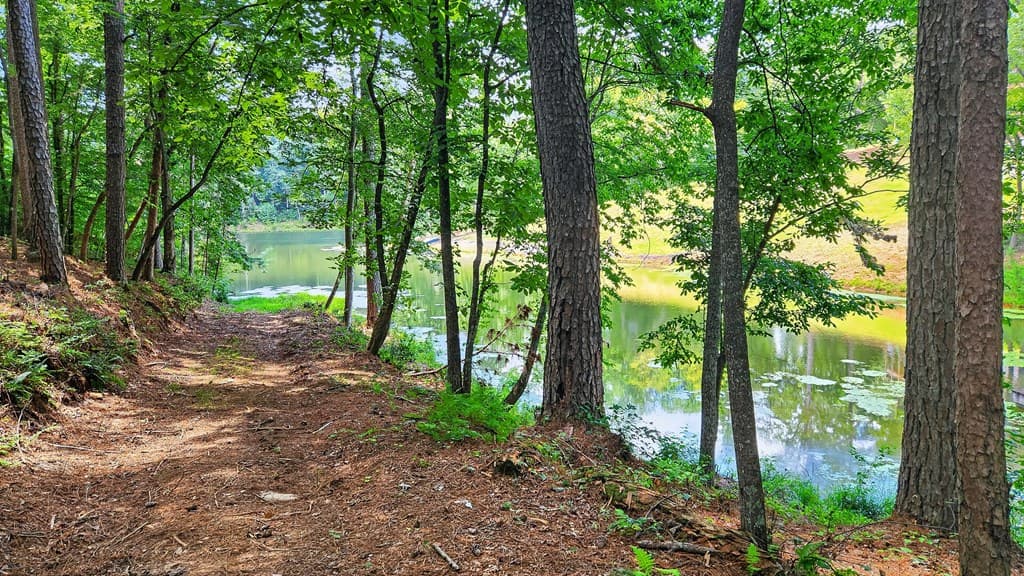 LT 170 Overlook Way, Ellijay GA 30540 - Photo