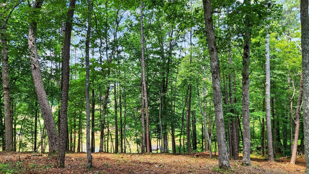 LT 170 Overlook Way, Ellijay GA 30540 - Photo