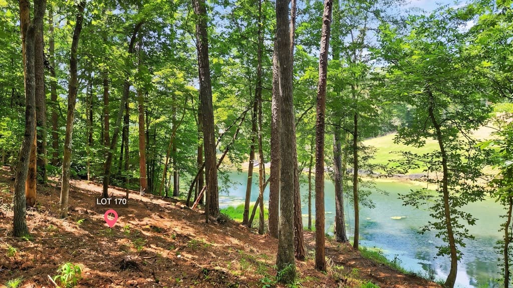 LT 170 Overlook Way, Ellijay GA 30540 - Photo