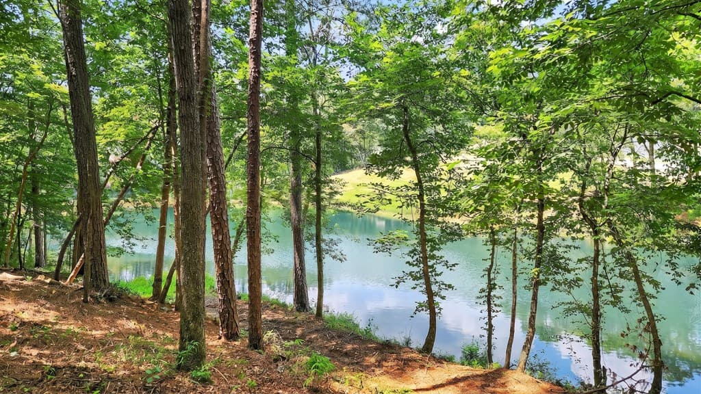 LT 170 Overlook Way, Ellijay GA 30540 - Photo