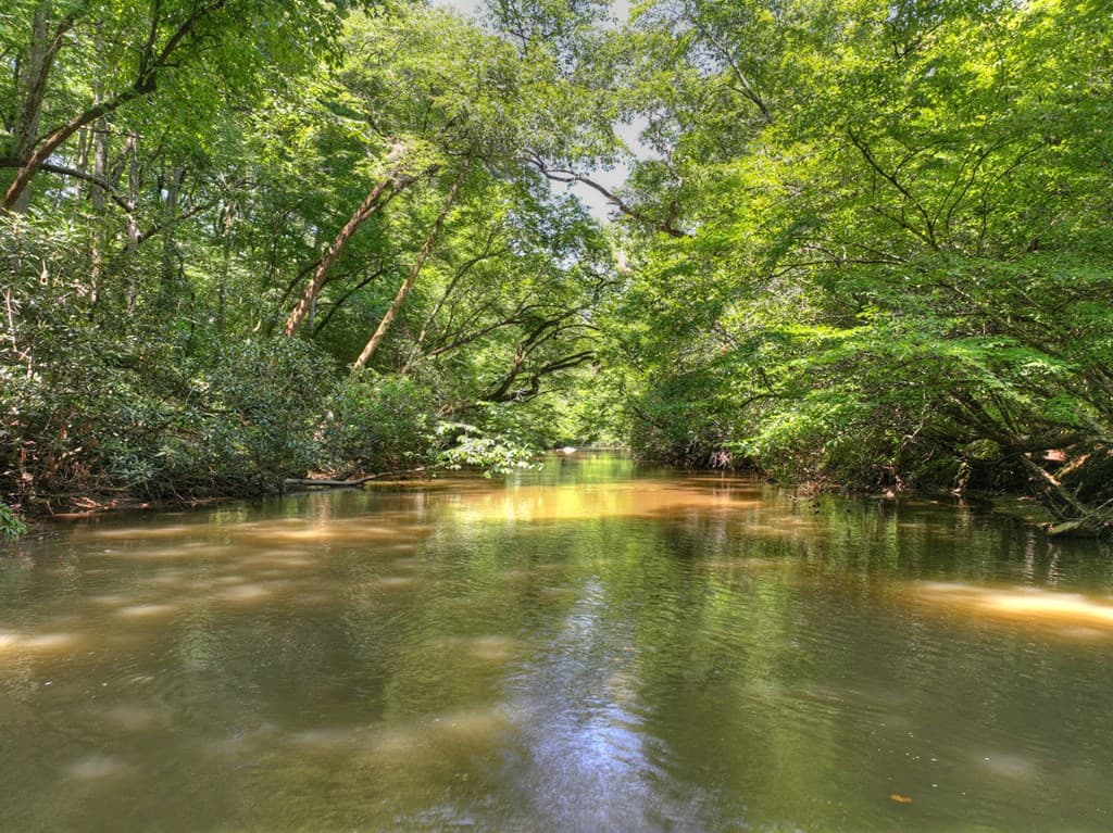 357 Goldmine Trail, Ellijay GA 30536 - Photo