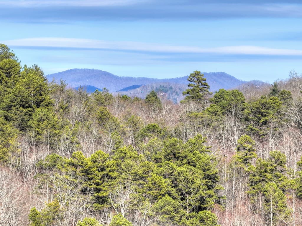 315 River Retreat Road, Blue Ridge GA 30513 - Photo