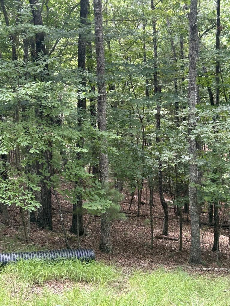 1.5 Liberty Hill Road, Morganton GA 30560 - Photo