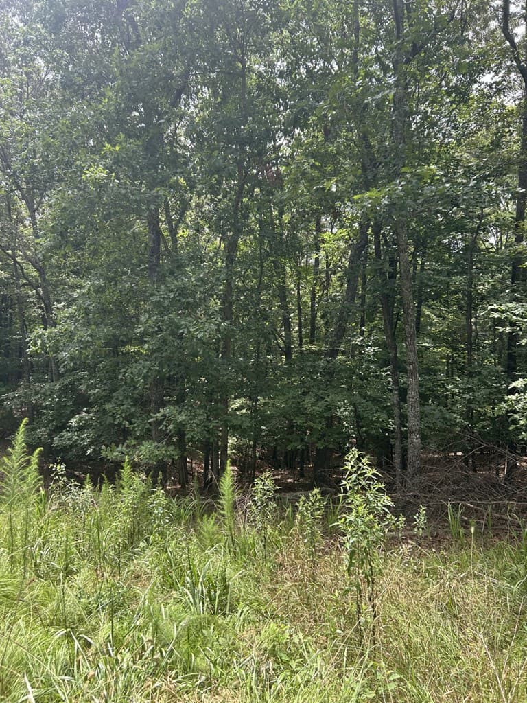 1.5 Liberty Hill Road, Morganton GA 30560 - Photo