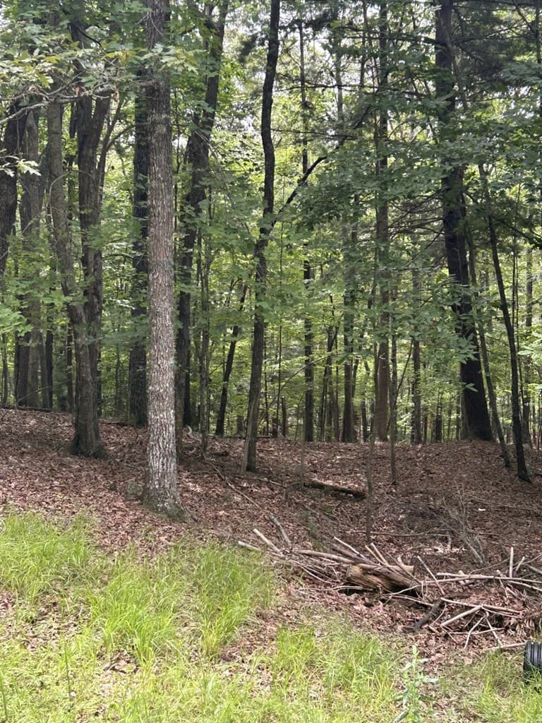 1.5 Liberty Hill Road, Morganton GA 30560 - Photo
