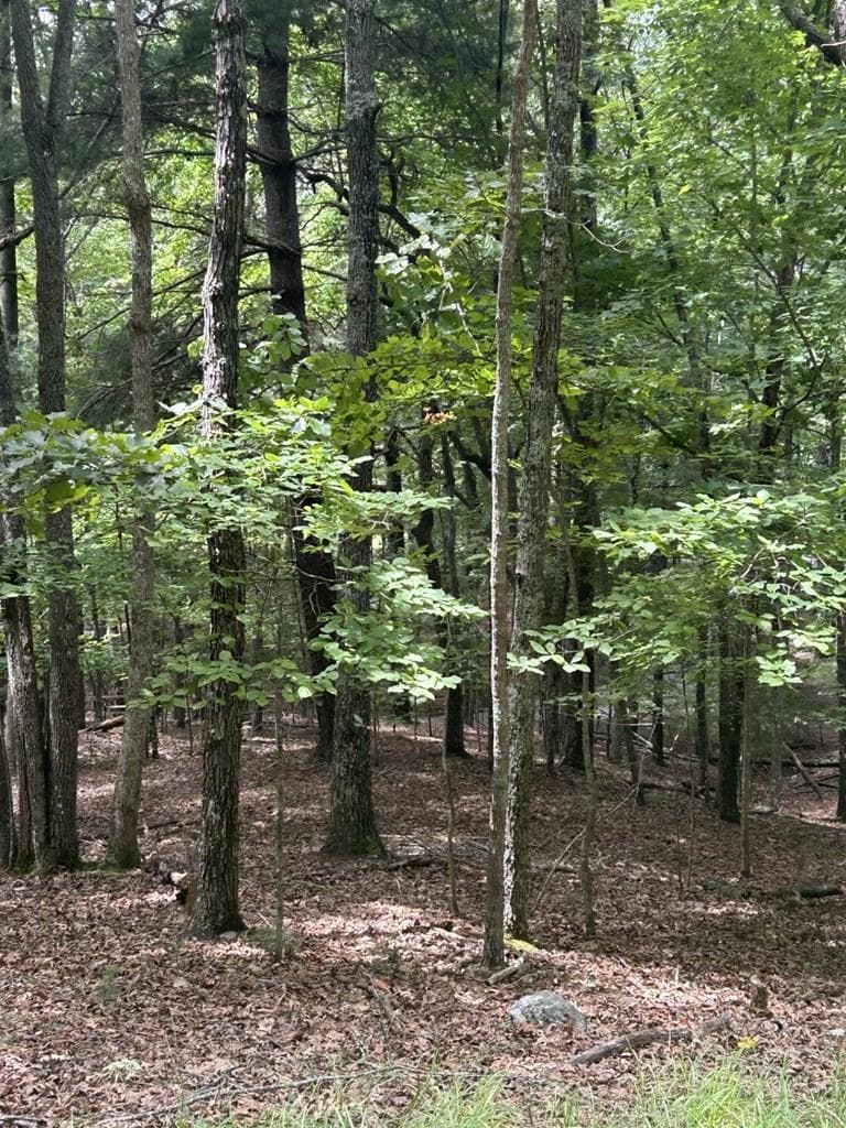 1.5 Liberty Hill Road, Morganton GA 30560 - Primary photo