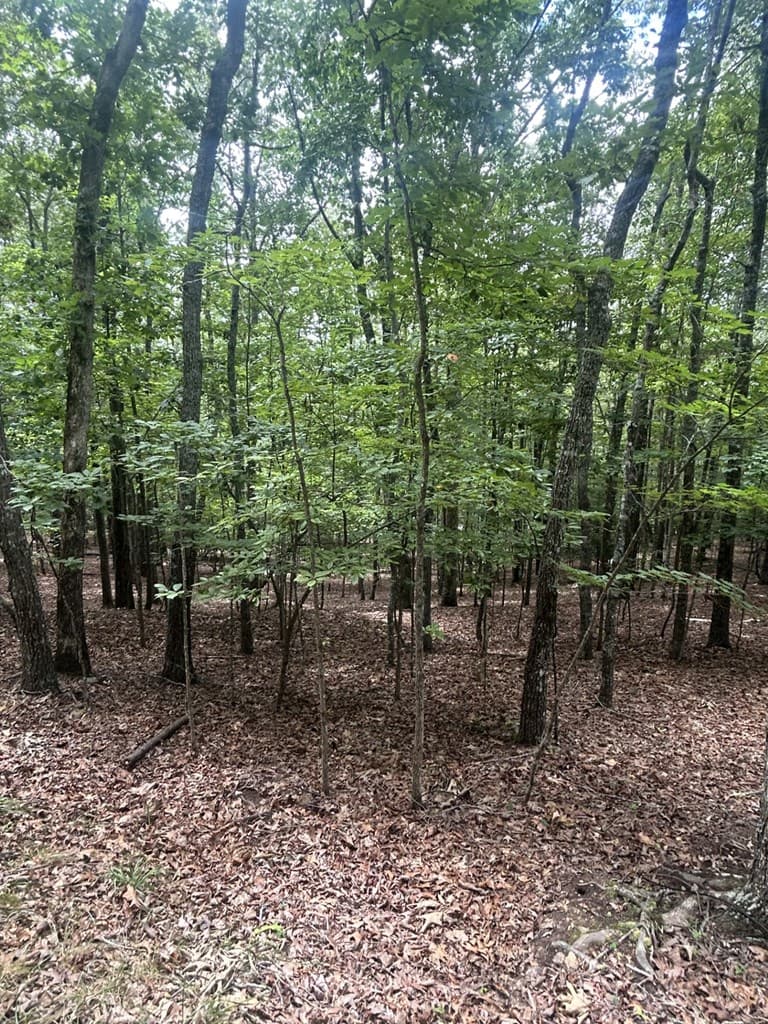 1.5 Liberty Hill Road, Morganton GA 30560 - Photo