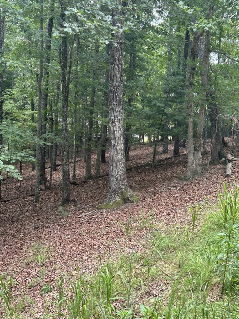 1.5 Liberty Hill Road, Morganton GA 30560 - Photo
