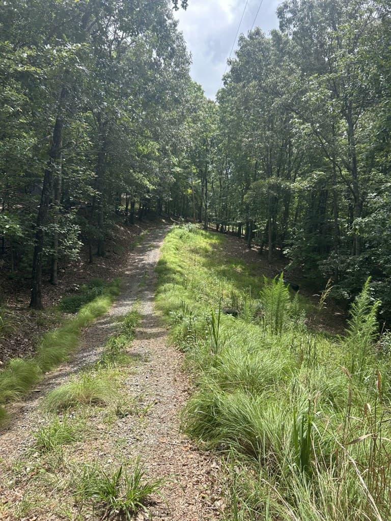 1.5 Liberty Hill Road, Morganton GA 30560 - Photo