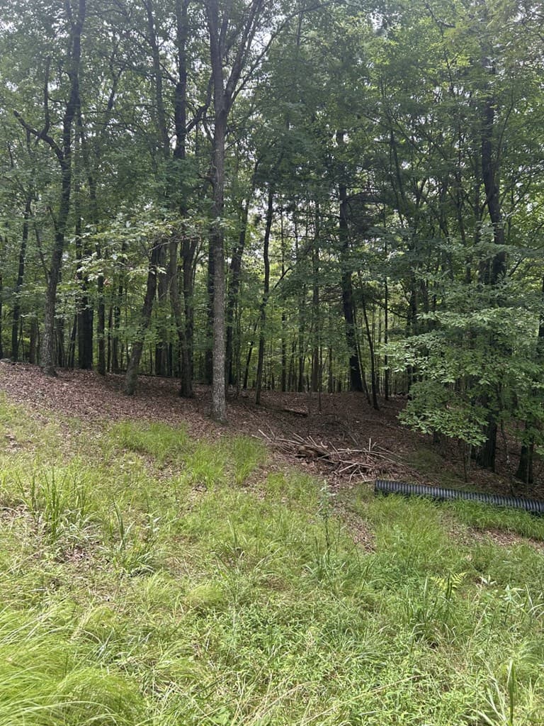 1.5 Liberty Hill Road, Morganton GA 30560 - Photo