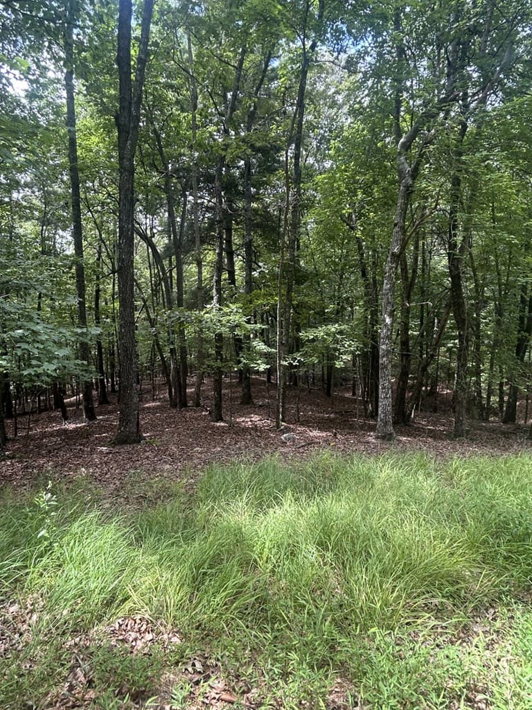 1.5 Liberty Hill Road, Morganton GA 30560 - Photo