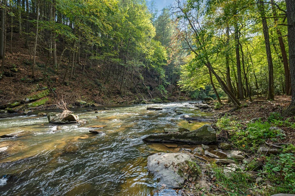 325 Whitewater Falls Trail, Ellijay GA 30540 - Photo