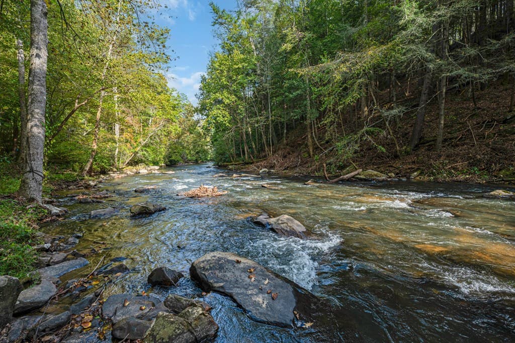 325 Whitewater Falls Trail, Ellijay GA 30540 - Photo