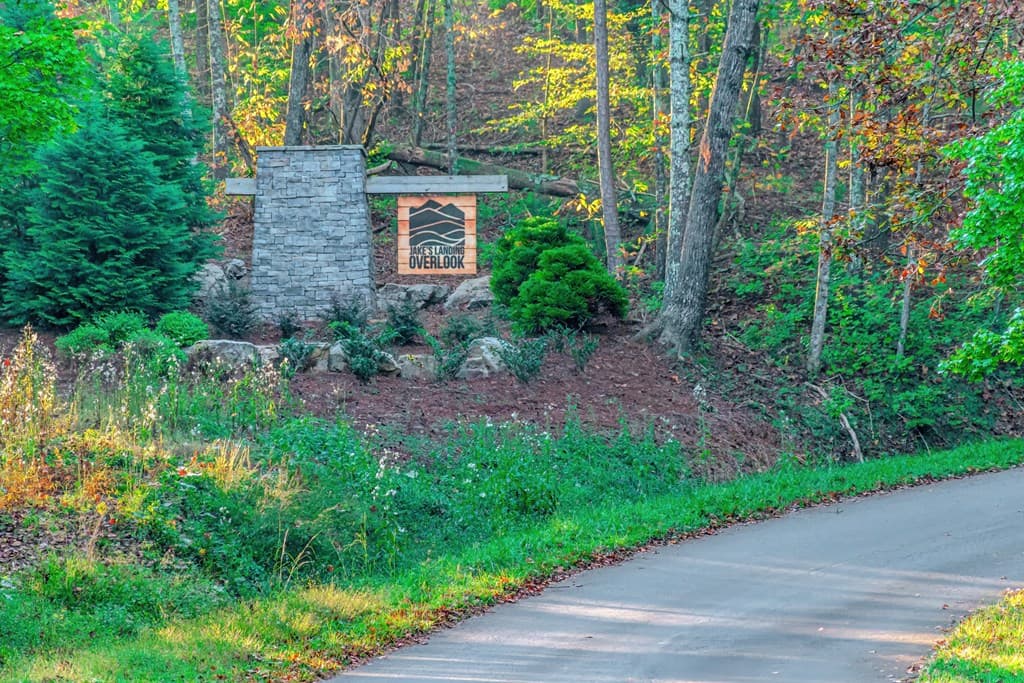 Lot 50 Jakes Landing Way, Ellijay GA 30540 - Photo