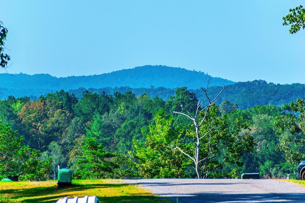 Lot 50 Jakes Landing Way, Ellijay GA 30540 - Primary photo